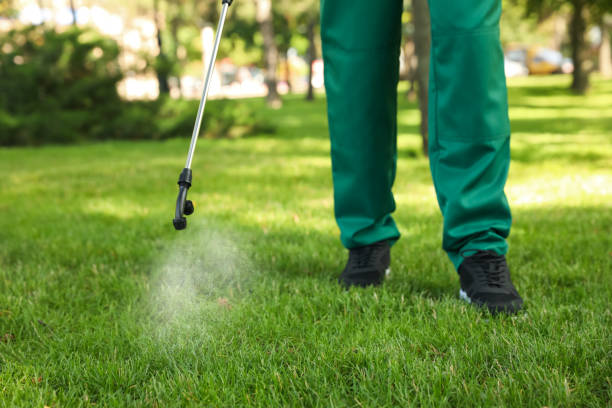 Best Exterminator Services  in Inverness, CA