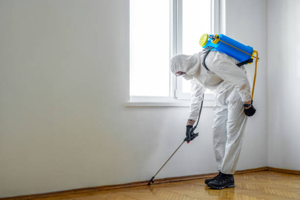 Best Residential Pest Control  in Inverness, CA