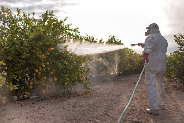 Pest Control Cost in Inverness, CA