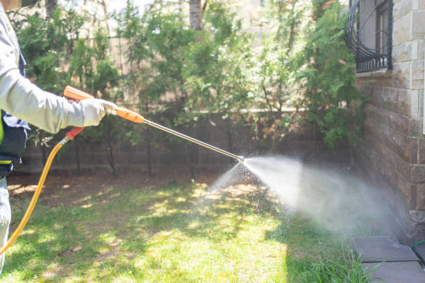 Best Flea Control Services  in Inverness, CA