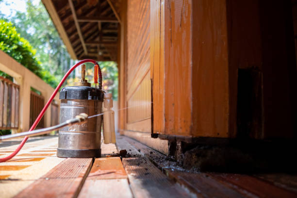 Best Residential Pest Control  in Inverness, CA