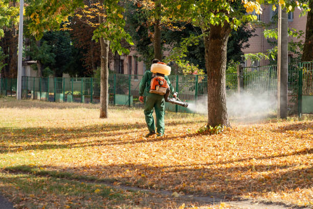 Best Termite Control Services  in Inverness, CA