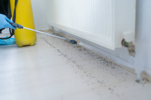 Best Commercial Pest Control Services  in Inverness, CA