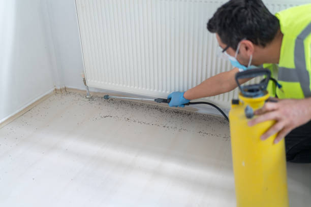 Best Best Pest Control Companies  in Inverness, CA