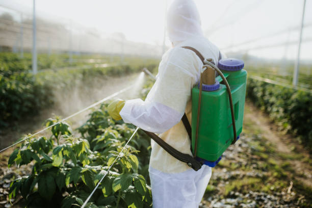  Inverness, CA Pest Control Pros